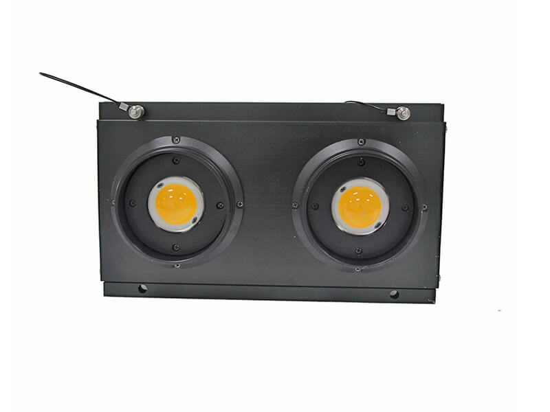 Connection One By One Style 2 Eyes Outdoor LED Audience Blinder Light